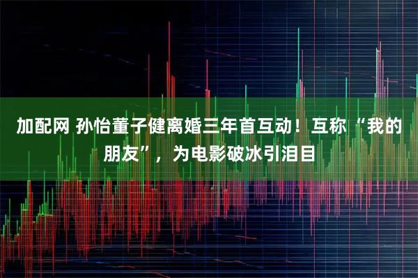 加配网 孙怡董子健离婚三年首互动！互称 “我的朋友”，为电影破冰引泪目