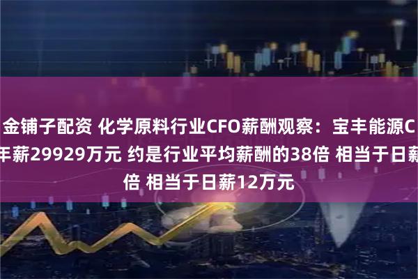 金铺子配资 化学原料行业CFO薪酬观察：宝丰能源CFO高宇年薪29929万元 约是行业平均薪酬的38倍 相当于日薪12万元