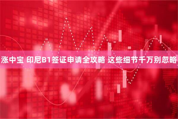 涨中宝 印尼B1签证申请全攻略 这些细节千万别忽略